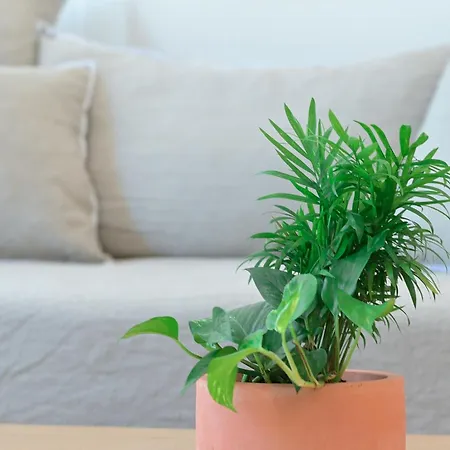 Syra Di Giovanni Apartamento